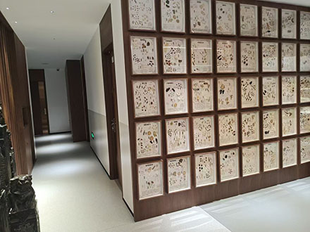 診所環(huán)境五